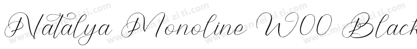 Natalya Monoline W00 Black字体转换